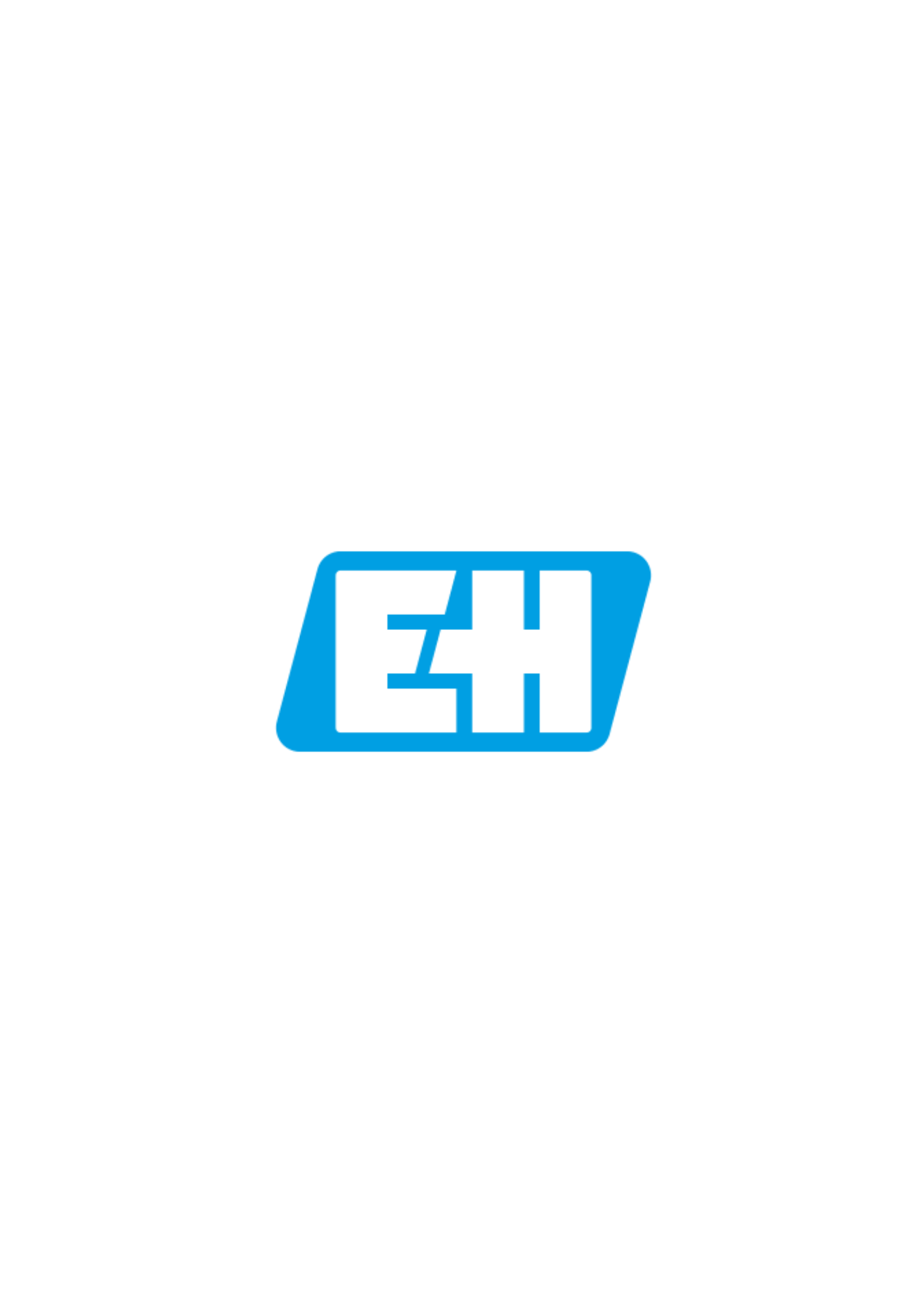 Endress+Hauser